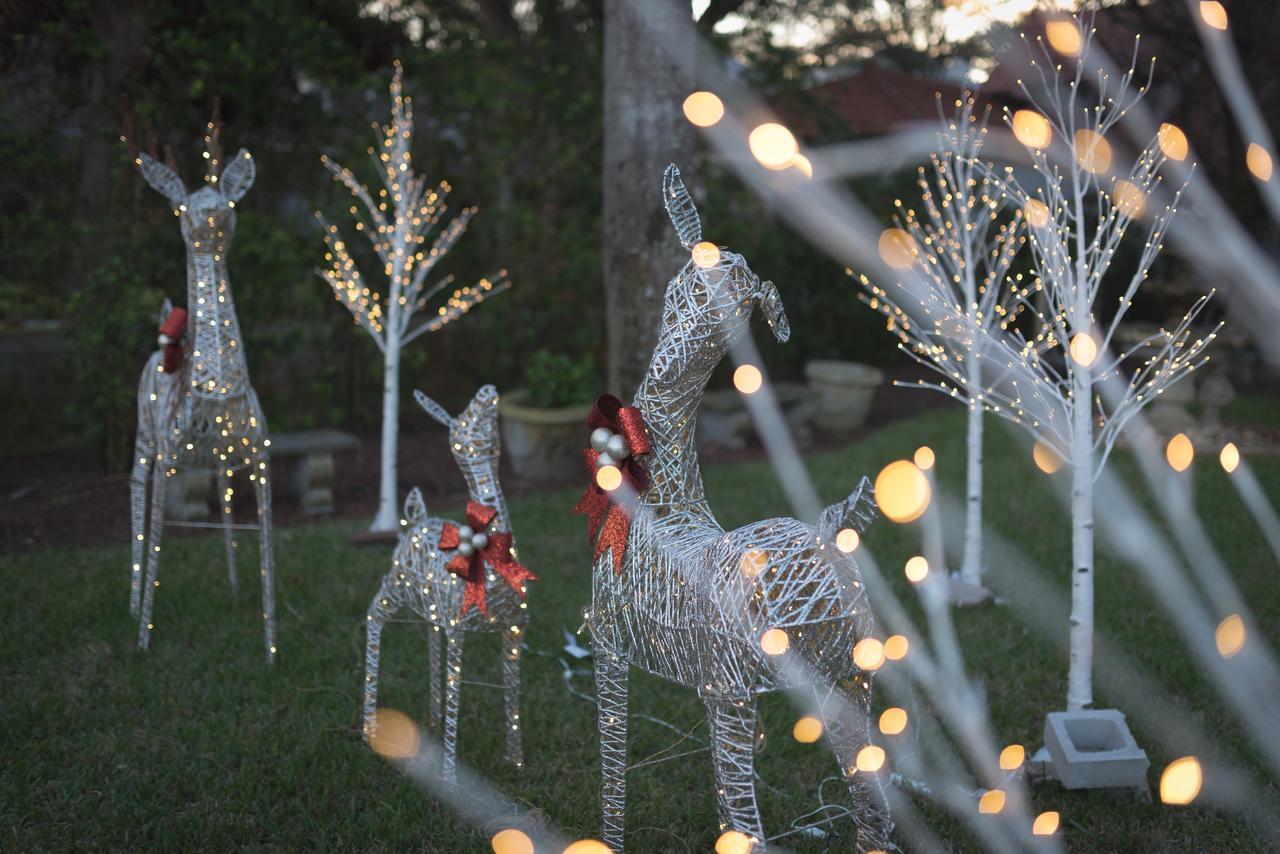 Bayfront Westcott House Bed & Breakfast เซนต์ออกัสติน ภายนอก รูปภาพ